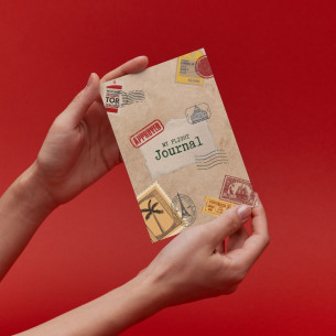 Diari de vol - Flight Log Book